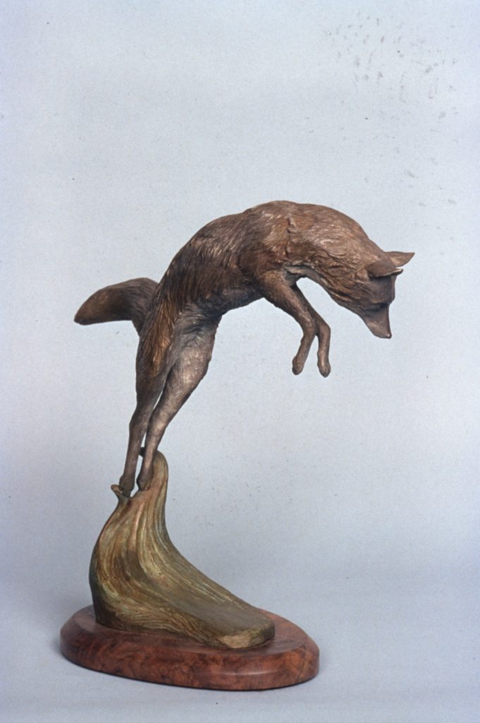 Pounce1