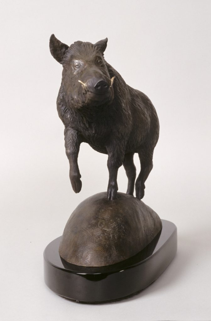Boar1