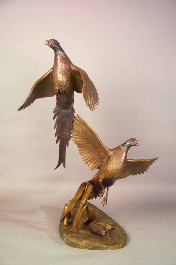 pheasant1