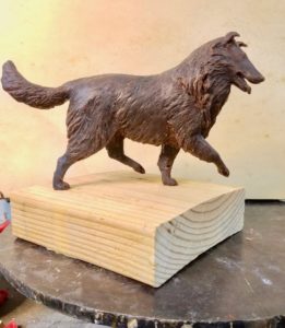 Collie